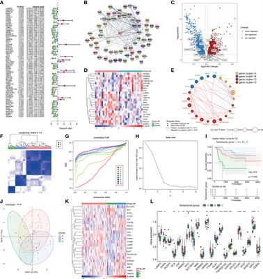 Identification and characterization of aging/senescence-induced genes in osteosarcoma and predicting clinical prognosis
